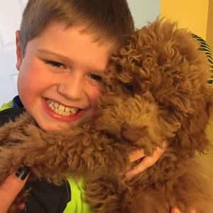 Meet your Posher, Jamie